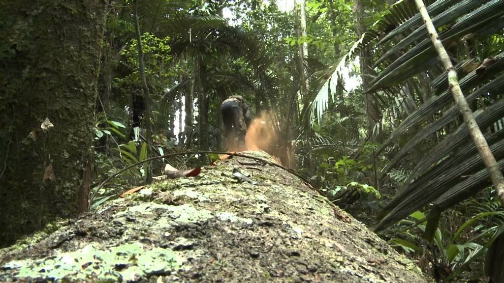 La valorisation des richesses naturelles en Outre-mer