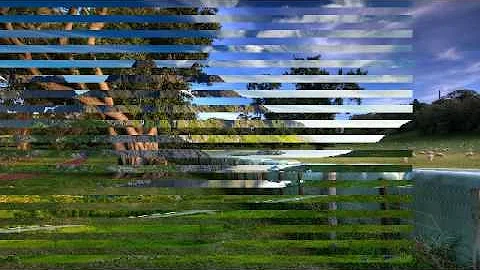 beautiful nature video 38