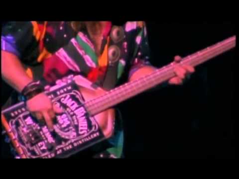 van-halen-ultra-bass-michael-anthony