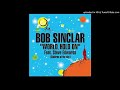 Bob Sinclair - World Hold On (Children Of The Sky) (ft. Steve Edwards) (Extended Club Mix)