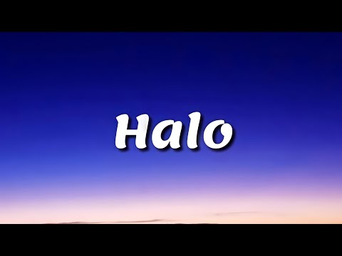      مترجمة للعربية