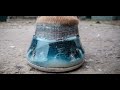 How to Shoe a Horse using Resin