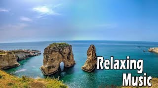 1 pistas Sleep Music Collection 🎵 Calming Sleep Music, Relaxing Piano Collection