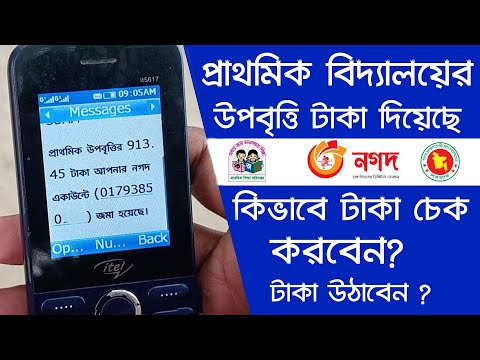 প্রাথমিক বিদ্যালয়ের উপবৃত্তির টাকা চেক করুন | DPE Upobitte Taka Withdraw | Primary School Stipend 21