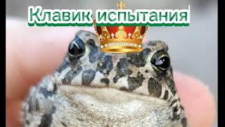 Клавик испытания 1 серия