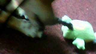 daniel11moreno's Webcam Video from March 12, 2012 08:00 AM