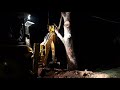 Jcb 3DX machine || backhoe operator push the large tree
