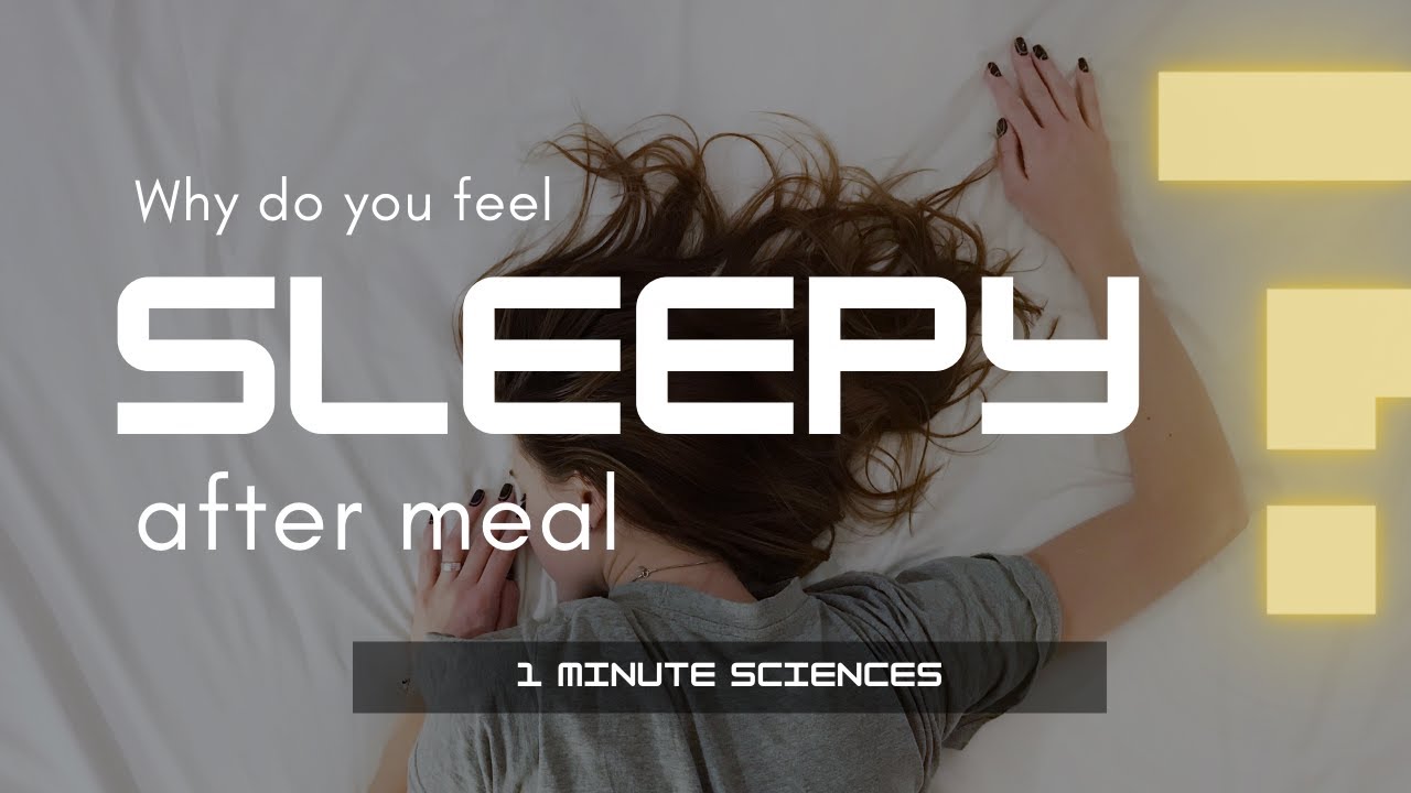 Why do you feel sleepy after meal? YouTube