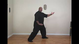 Tai Chi - Part the Wild Horses Mane