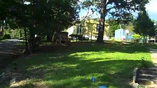 1543 Co Rd 4009 Crane Hill Al. 35053