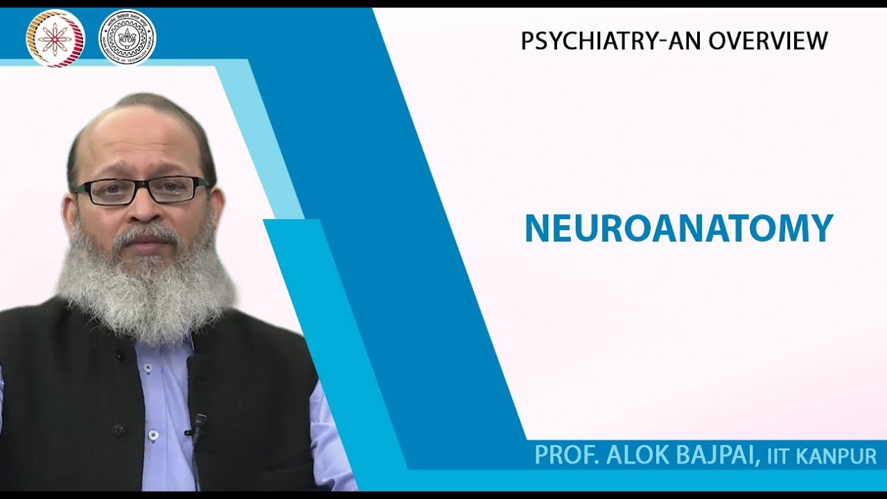Lec 1 Neuroanatomy - YouTube