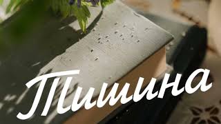 Тишина  - Олег Толмачёв