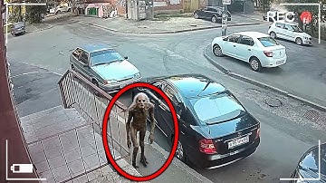 CCTV Camera Captured What No One Was Supposed to SEE