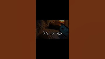 سبحان الله وبحمده سبحان الله العظيم #ديني #اكسبلور #راحة_نفسية #دينيات #لايك #إستغفار #أذكار #الصلاة