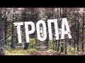 Страшные истории на ночь-Тропа