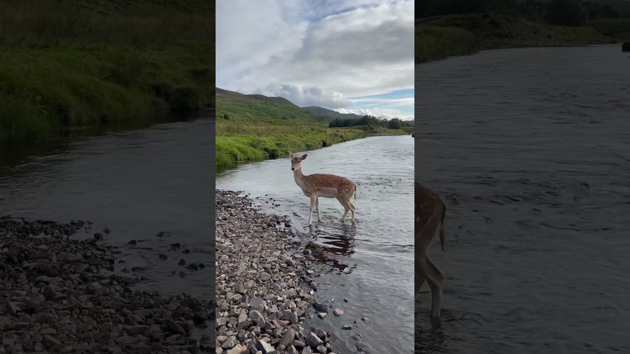 Bath night for Miss Peggy 