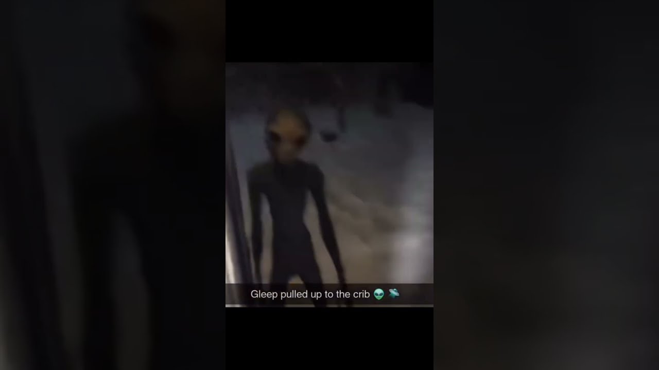 Gleep Pulled Up Meme Memes Shorts