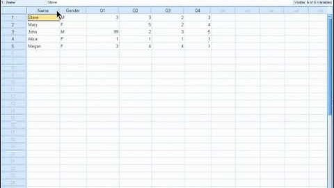 SPSS 19 Training : Specifying Missing Values
