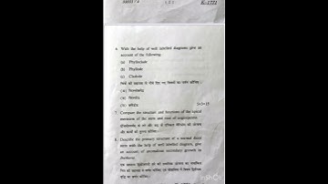 B.Sc. 3rd Semester 2022 BOTANY question paper - Lucknow University
