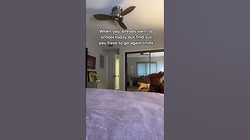 Me when I find out that School is everyday!? #themanniishow.com/series