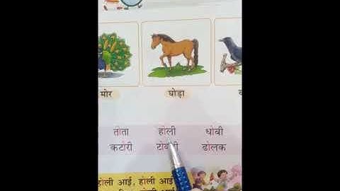 MLZS JHANSI CLASS 1 Hindi Grammar Chapter 11 O Ki Matra Lecture 1