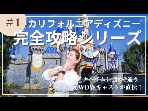 2723.昔の海外ディズニーランドアナハイムキャストピンクリスマスストッキング hqdefault.jpg
