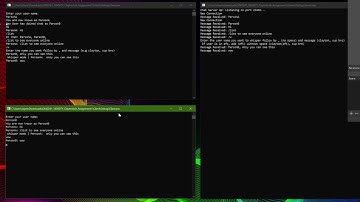 Socket Programming | C++