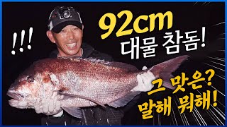 A monster fish that you never see again in UR life. fishing, fisher, big fish #Jeju Island [4K]