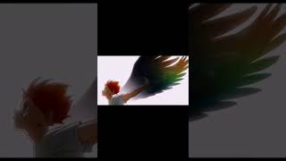 The Flying Hinata Shoyo