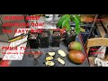 MANGO SEED GERMINATION THE EASY WAY .  NO FUSS ON PHILA TV!