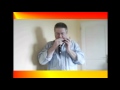 HARMONICA  chromatique solo  &quot; ROCK 1 &quot;