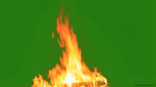 Real Fire Flame 2 - Green Screen - Free Use