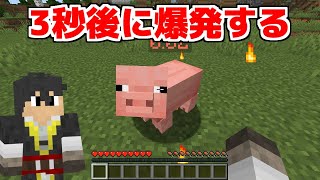 【マイクラ】3秒後に生き物とアイテムが爆発する！？ - 色んな世界を遊びたい #51