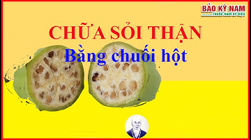 Chữa sỏi thận bằng chuối hột | Bảo Kỳ Nam