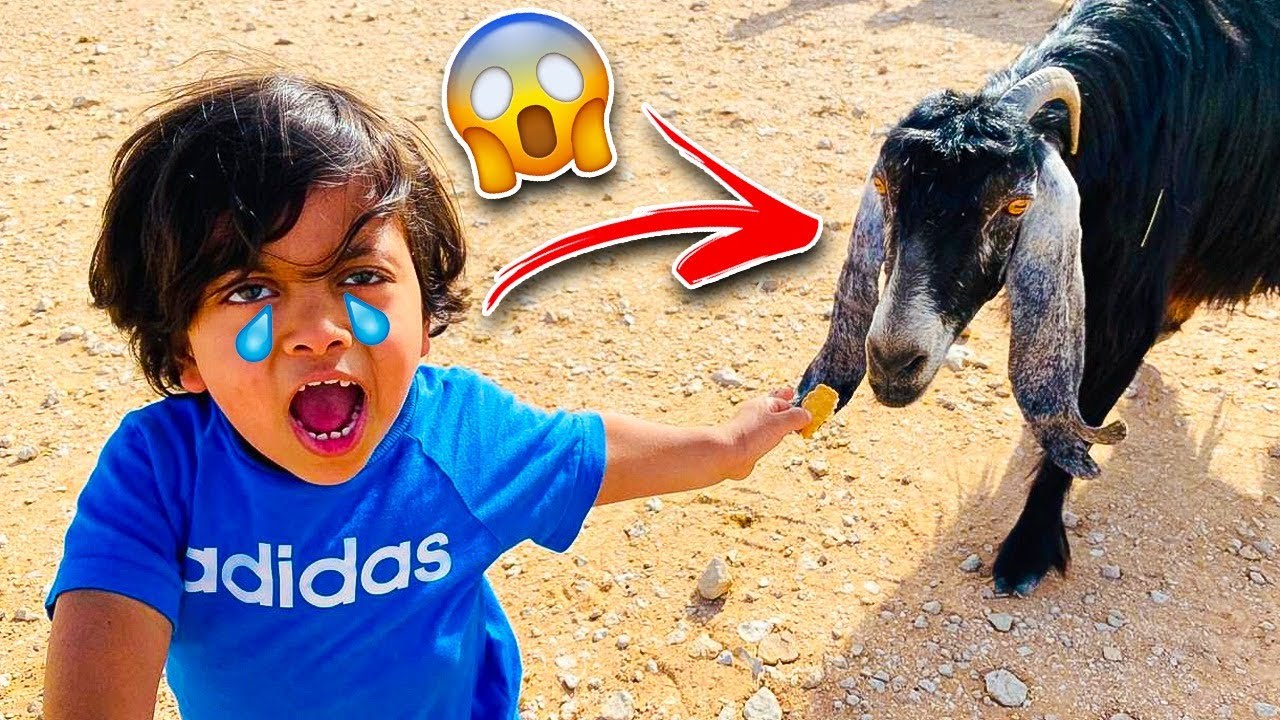 😥رحنا للمخيم والكلب والعنز طردوا حمودي وبكى