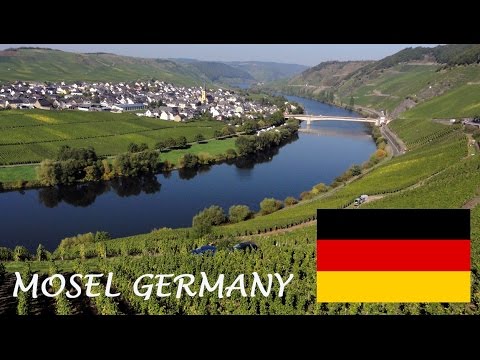 Mosel Wine tourism: German Riesling Wine Moselle Valley Germany wines DeutschlandTourismus Travel