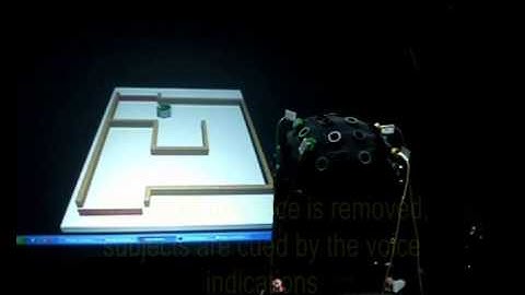 UMA-BCI Virtual and Real Environments