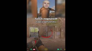 крыса притаилась #cs2 #cs2memes