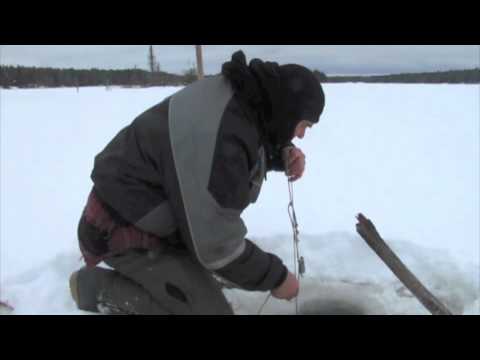 Jason Gauthier's Minnow Trapping Manitoba Style