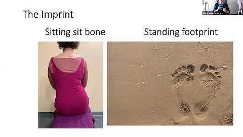 Sitting to Walking Webinar | Carol Montgomery 071820
