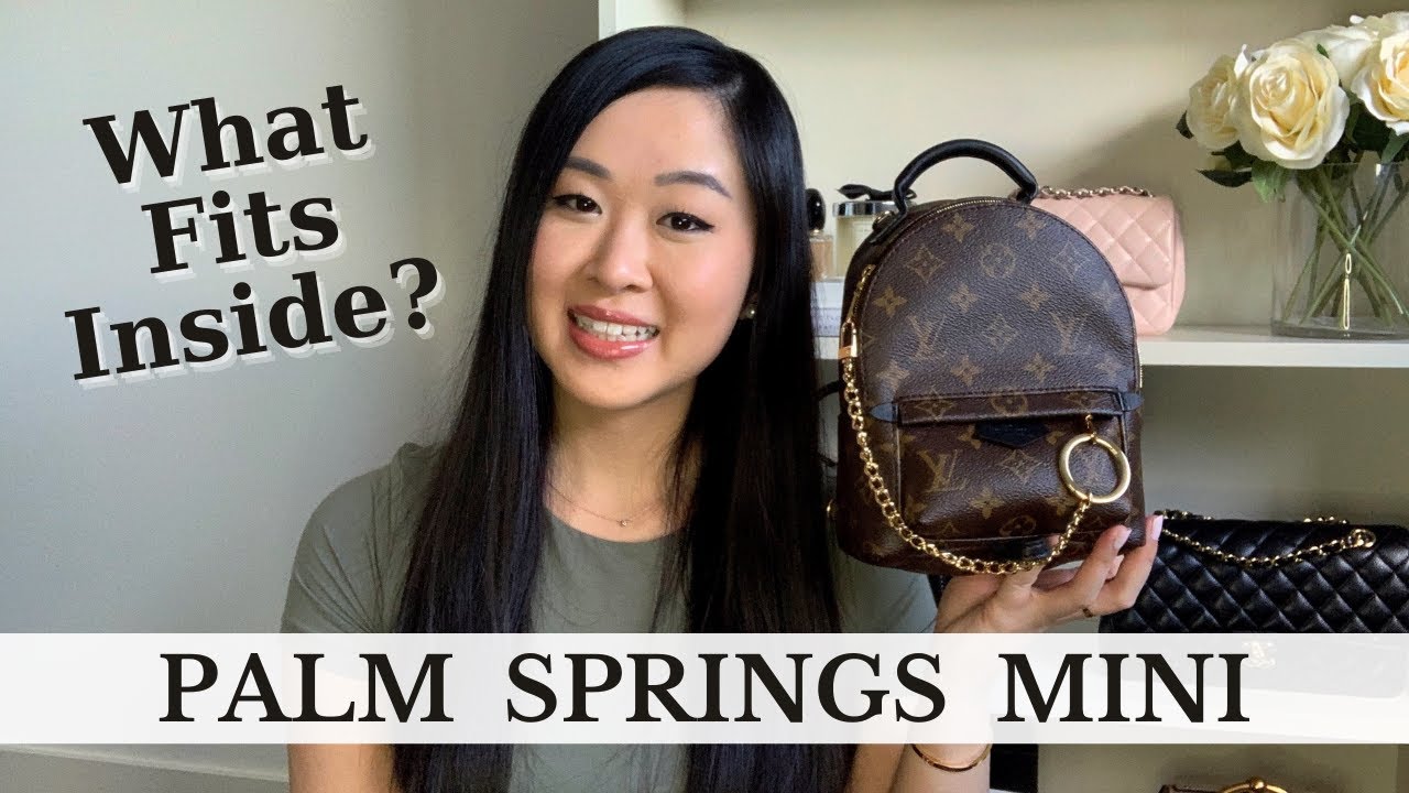 LV Palm Springs MINI BACKPACK - POSITIVES, NEGATIVES, WHAT FITS!! 