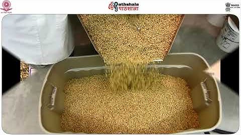 M-18.Milling of wheat