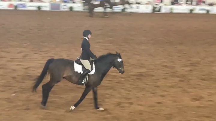 Nationals 2022 - Sara Hearn - Individual Open Flat