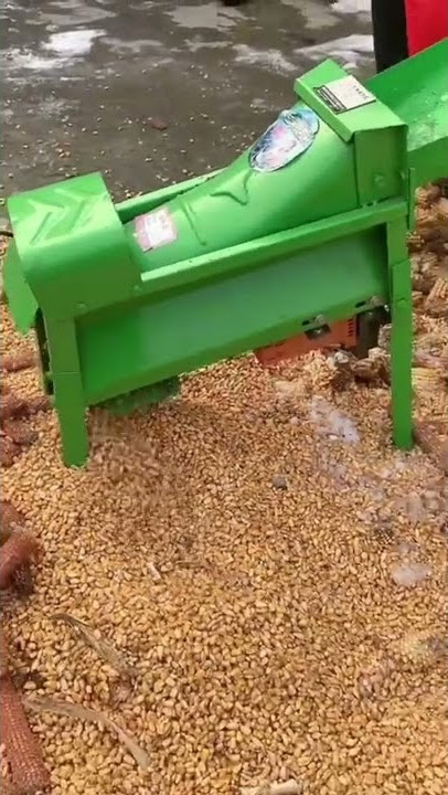 Home use small corn sheller machine, maize thresher machine