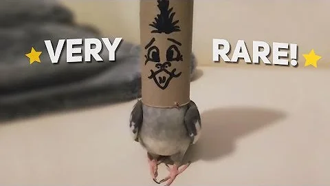 Rare Chicken