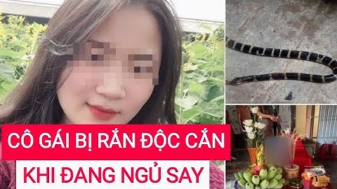 Cô gái trẻ bị RẮN CẮN khi đang ngủ T.Ử V.O.N.G | HÓNG TIN NHANH