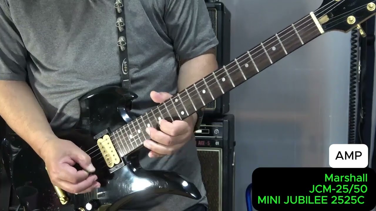 kissy's ｛ JUNK｝Guitar Collections】TARGET by Fernandes MG ＆hide