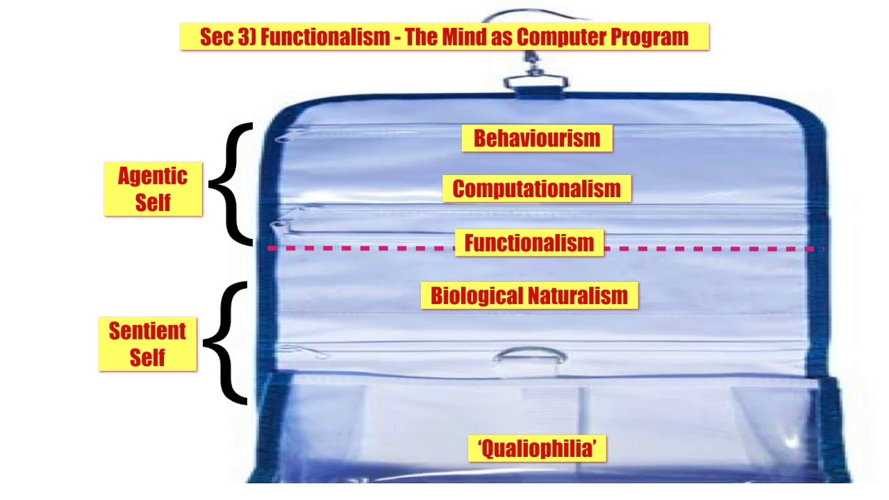 Sec 3 Functionalism   The Mind as Computer Program