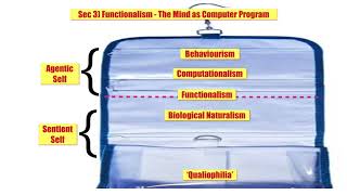 Sec 3 Functionalism   The Mind as Computer Program