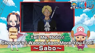 Tell Me, Robin! Chopper’s I-Wanna-Learn-More-You-Fool! 〜Sabo〜